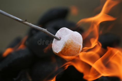 Fire roasted marshmallow. Marshmallow on a stick being roasted over a camping fi , #affiliate, #marshmallow, #roasted, #Fire, #Marshmallow, #fire #ad Graham Cracker Smores, Grill Dessert, Novi Stars, Easy Camping Meals, Family Tent Camping, Roasting Marshmallows, Chocolate Marshmallows, Chocolate Wafers, Easy Camping