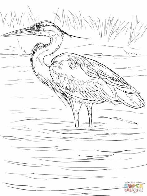 Bird Coloring, Heron Art, Coloring Page Free Printable, Louisiana Art, Great Blue Heron, Bird Coloring Pages, Wood Burning Patterns, Herons, Landscape Art Painting