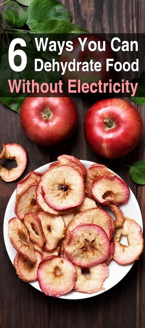 6 Ways to Dehydrate Food Without Electricity Dehydrate Apples, Dehydrating Food Storage, Dehydrated Apples, Food Dehydration, Dehydrated Fruit, Dehydrated Food, Survival Food, Dehydrator Recipes, Food Supply