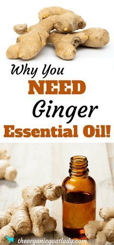 Why You NEED Ginger Essential Oil! Essential Oils For Nausea, Autogenic Training, Pain Relief Remedies, Essential Oils For Headaches, Natural Headache Remedies, Beeswax Wraps, Ginger Essential Oil, Ginger Oil, Essential Oil Benefits