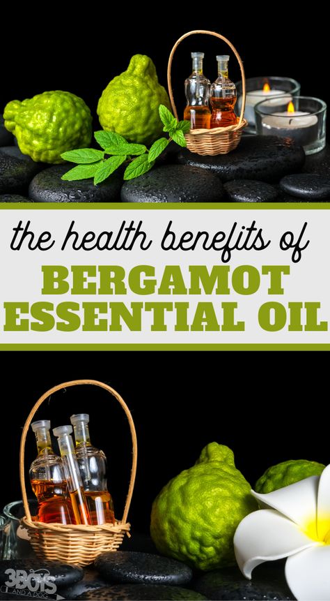 Uses For Bergamot Essential Oil, Benefits Of Bergamot Essential Oil, Bergamot Oil Benefits, Bergamot Essential Oil Benefits, Bergamot Benefits, Bergamot Essential Oil Uses, Library Gifts, Bergamot Orange, Citrus Essential Oil