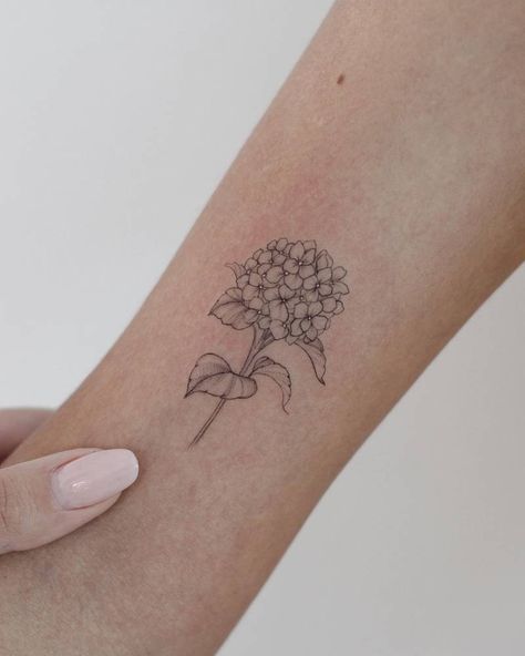 Hydrangea Tattoos, Hydrangea Tattoo, Simple Line Tattoo, Cream Tattoo, Tattoo Line, Fineline Tattoo, Instagram Tattoo, Small Hand Tattoos, Tattoo Cover