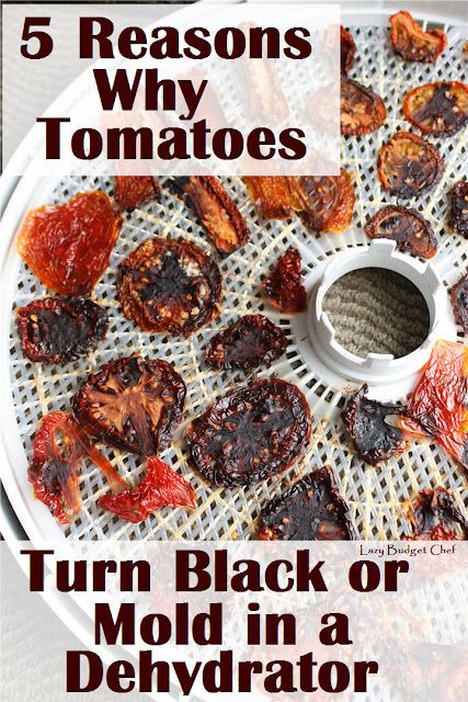 Why tomatoes turn black or mold in the dehydrator and 5 ways to prevent it #canning #tomatoes #dried #dehydrator #recipe Dehydrated Tomatoes In Dehydrator, Drying Tomatoes In A Dehydrator, How To Dry Tomatoes In Dehydrator, Dehydrate Tomatoes In Dehydrator, Dehydrating Tomatoes In Dehydrator, How To Dehydrate Tomatoes, Dehydrated Tomatoes Recipes, Dehydrator Tomatoes, Dehydrate Recipes