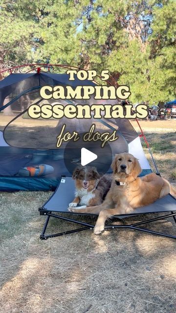 Camping Dog Hacks, Dog Camping Hacks, Dog Camping Essentials, Camping With Dogs Hacks, Camping Dog Bed, Ultralight Travel, Lake Essentials, Dog Station, Camping With Dogs