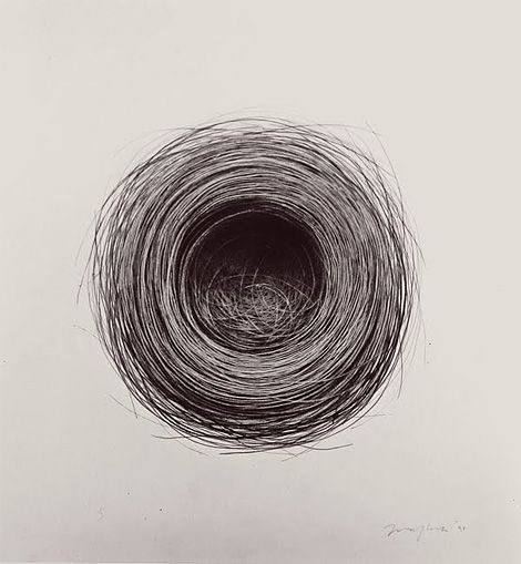 Bulbul Nest 99, charcoal on paper, by Jonathan Delafield Cook Detailed Drawings, Bird Drawings, Charcoal Drawing, 영감을 주는 캐릭터, Land Art, Art Plastique, Portrait Drawing, Drawing Inspiration, A Black