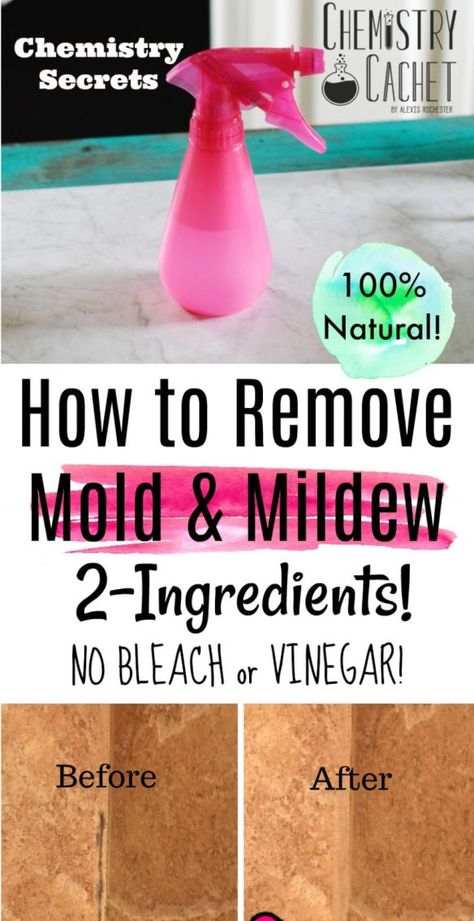 How to remove mold from bathroom walls, from showers, plastic and more! There is no vinegar or bleach in this natural mold remover using just tea tree oil. Learn how to make this simple solution based on science. #mold #mildew How To Remove Mold, Remove Mold, Mildew Remover, Cleaning Mold, Cleaning Painted Walls, Glass Cooktop, Deep Cleaning Tips, Mold Remover, Clean Dishwasher