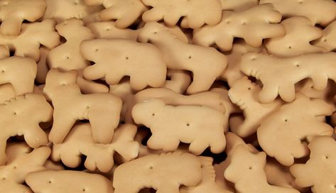 Frosted Animal Crackers, Animal Cracker, Cereal Cookies, Food Holidays, Cereal Treats, National Animal, Melting White Chocolate, Snack Items, Small Snacks