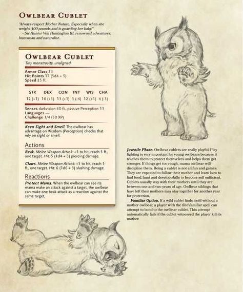 Homebrew Familiar Dnd, Dnd Homebrew Companions, Dnd 5e Homebrew Familiars, Dnd 5e Homebrew Pets, Dnd Homebrew Animals, Dnd Cute Monsters, Familiar Dnd 5e, Fox Familiar Dnd, Find Familiar Dnd