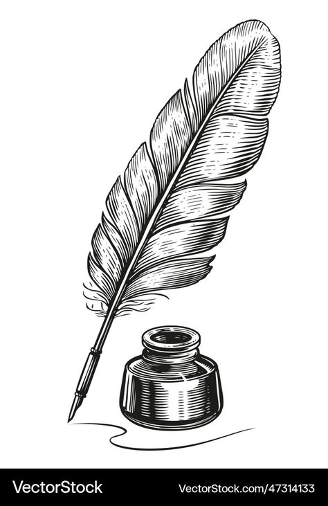 Feather Quill Drawing, Ink Pen Sketch, Feathers Reference, Feather Pen Drawing, Quill Illustration, Vintage Feather Pen, Quill Pen Tattoo, Feather Pen Tattoo, Quill Drawing