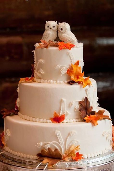 wedding cake toppers cute owls and leaves-echo media photography Owl Wedding Theme, Owl Wedding Cake Topper, Owl Wedding Cake, Cakes Creative, Bridal Cake Topper, Camo Wedding Cakes, Owl Wedding, Bird Cake Topper Wedding, Wedding Cake Birds