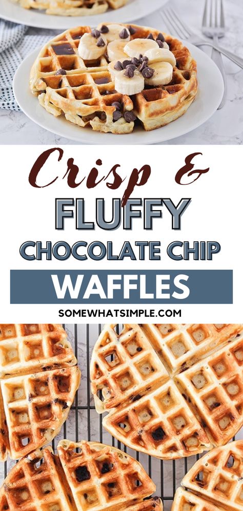 Crisp & Fluffy Chocolate Chip Waffles that you can make at home! These chocolate chip waffles are one of our top favorites. They’re light and fluffy, and have the perfect amount of gooey chocolate in every bite!You absolutely can freeze these chocolate chip waffles! These are my kids favorite thing to eat for breakfast but there is no way you’re going to get me to make them every morning. Every time I make these, I’ll actually make double or triple the recipe and freeze some for later. Waffles Chocolate Chip, Cool Waffle Ideas, Waffle Recipe Chocolate Chip, Chocolate Chip Belgian Waffles, Mini Chocolate Chip Waffles, Choc Chip Waffles, Chocolate Protein Waffle Recipe, Chocolate Waffles Recipe, Home Made Waffles Recipe Easy