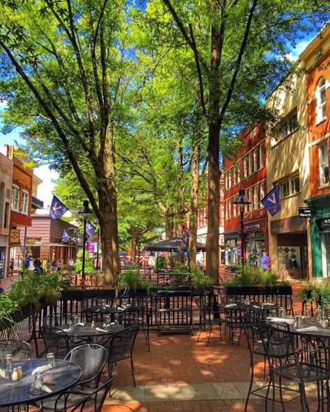 The historic pedestrian Downtown Mall in Charlottesville, Virginia is  eight blocks of restaurants, shops, music venues, and more. Virginia Travel, Virginia Is For Lovers, Charlottesville Virginia, Au Pair, Virginia Usa, Charlottesville Va, University Of Virginia, Richmond Virginia, Virginia Beach