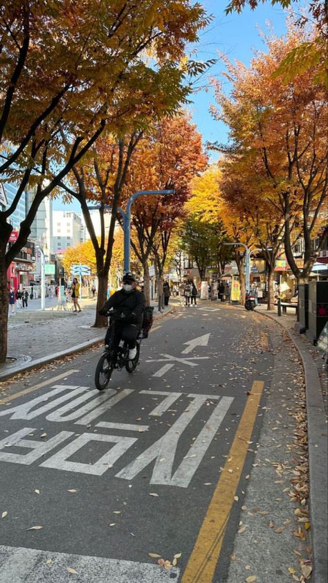 Fall Korean Aesthetic, Fall In South Korea, Autumn Korean Aesthetic, Korea Street Photography, Korean Fall Aesthetic, Korean Trip Aesthetic, Seoul Autumn Aesthetic, Korea In Autumn, Christmas In Seoul South Korea