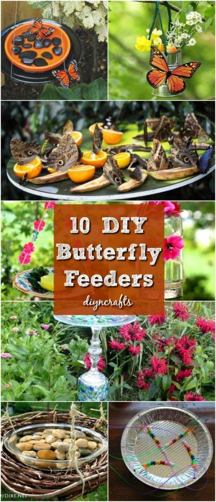 10 DIY Butterfly Feeders That Will Add Beauty And Butterflies To Your Garden #diy #gardening #garden #butterflyfeeders Diy Papillon, Butterfly Feeders, Butterfly Feeder, Butterfly Garden Plants, Butterfly Garden Design, Hummingbird Garden, Meteor Garden 2018, Diy Butterfly, Vegetable Gardens