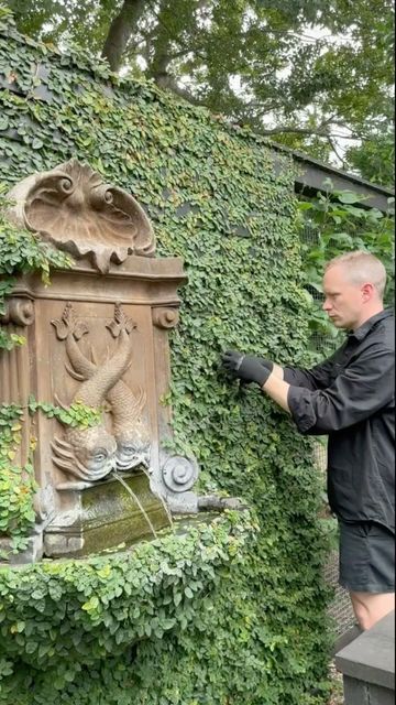 harolds_finishing_touches on Instagram: "• { T R I M } The Creeping Fig & Espalier Pears were due for a trim In the Potager garden so spent the afternoon in the garden with a coffee and the cat. My constant garden companion. 📷 Taken @ #haroldsHOME" Creeping Fig On House, Fig Espalier, Harolds Finishing Touches, Creeping Fig, Potager Garden, Garden Of Eden, Water Feature, Garden Shed, Backyard Ideas