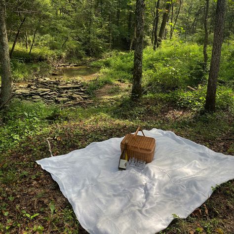 Picnic In Forest Aesthetic, Picnic In Woods Aesthetic, Picnic In The Woods Romantic, Picnic In The Woods Aesthetic, Woodsy Picnic, Forest Picnic Aesthetic, Picnic In Woods, Date In The Woods, Picnic In Forest