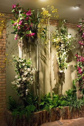 Orchid Garden Ideas, Wedding Installations, Above Ground Garden, Wabi Kusa, Orchid House, Chicago Botanic Garden, Orchid Show, Orchid Garden, Exotic Orchids