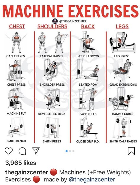 Weight Machine Workout, Machine Exercises, Gym Workouts Machines, Gym Workout Plan, Back And Shoulder Workout, Workouts For Men, Workout Gym Routine, Gym Workout Guide, Workout Program Gym