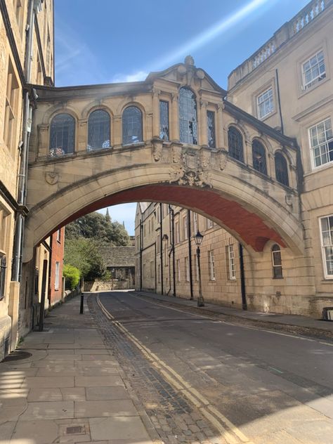 Oxford Dorm Room Aesthetic, Dorm Room Aesthetic, Academic Validation, Dream School, Maybe Someday, Oxford University, Ivy League, British Isles, Room Aesthetic