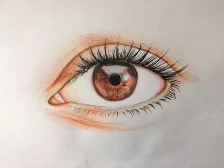 Pencil Drawing Eyes, Pencil Sketches Of Faces, Pencil Sketch Tutorial, Draw An Eye, Drawing Basics, Eye Drawings, Realistic Eye Drawing, Color Pencil Sketch, Pencil Work