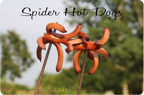 campfire food recipes spider hot dogs Campfire Cooking Recipes, Easy Campfire Meals, Spider Dog, Foil Pack Meals, Easy Camping Meals, Campfire Food, Campfire Cooking, Easy Camping, Cooking Guide