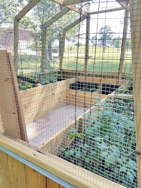 Diy Enclosed Garden, Animal Proof Garden, Enclosed Vegetable Garden, Enclosed Garden Structures, Squirrel Proof Garden, Enclosed Garden Beds, Above Ground Garden, Enclosed Garden, Diy Greenhouse Plans