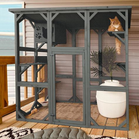 Wooden Cat House, Cat Patio, Cat Cage, Outdoor Cat Enclosure, Outdoor Cat House, Gato Grande, Cat Cages, Outdoor Cat, Cat Window