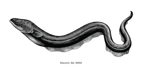 Eel Illustration, Eel Tattoo, Biology Illustration, Black Waves, Electric Eel, Snake Illustration, Snake Logo, Sea Snake, Sea Tattoo