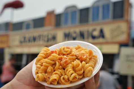 Chef Chris Wilson, director of culinary operations for Emeril's, dishes on how to make Crawfish Pasta, an iconic creamy pasta made famous at Jazz Fest. Crawfish Monica Recipe New Orleans Jazz, Crawfish Monica Recipe, Crawfish Monica, Crawfish Pasta, Pasta Cajun, Crawfish Recipes, Bbq Seafood, Visit New Orleans, Cajun Cooking