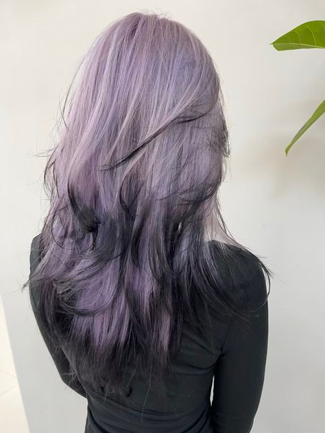 Black To Lavender Hair, Grayish Purple Hair, Purple Halo Hair, Light Purple Hair, Korean Hair Color, Viking Hair, Lilac Hair, Dyed Hair Inspiration, Lavender Hair