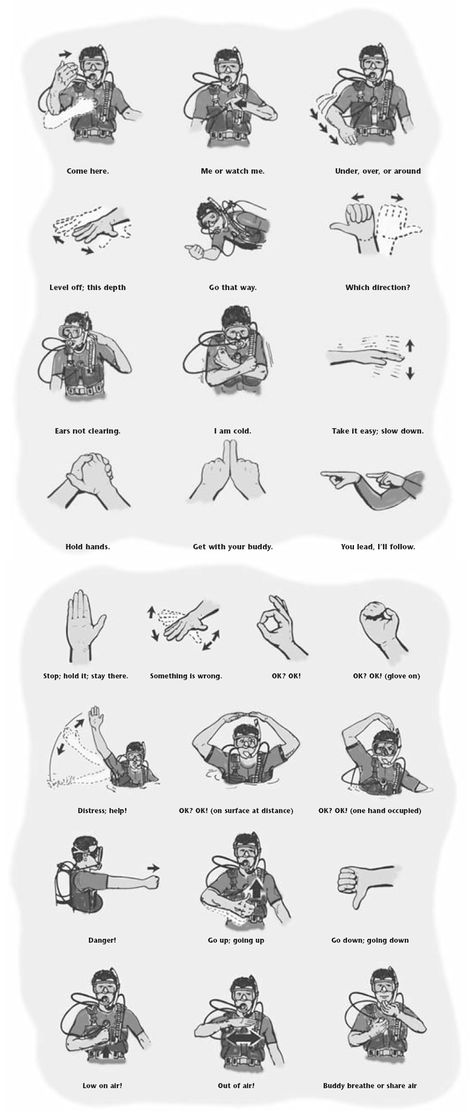 Diver Down, Hand Signals, Scuba Gear, Scuba Diving Gear, Scuba Dive, Free Diving, Diving Gear, Underwater Life, Koh Tao