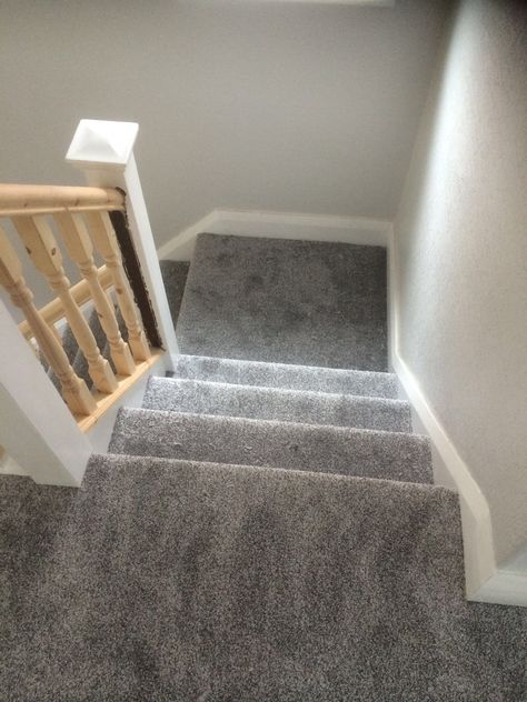 Best Carpet For Stairs, Grey Carpet Hallway, Grey Stair Carpet, Stairs Landing Carpet, Grey Carpet Bedroom, Dark Grey Carpet, Light Gray Carpet, Stairs Carpet, Gray Stairs