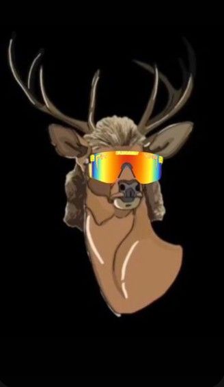 Deer Mullet, Pit Vipers, Pit Viper, Deer, Sunglasses