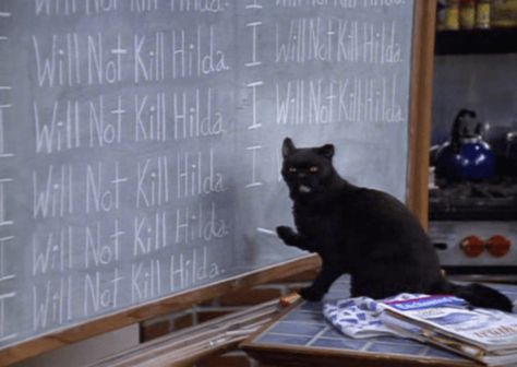 Salem Saberhagen, Salem Cat, Cats Quotes, Helloween Wallpaper, Sabrina Witch, Quotes Humor, Sabrina Spellman, Cat Quotes Funny, Cat Quotes