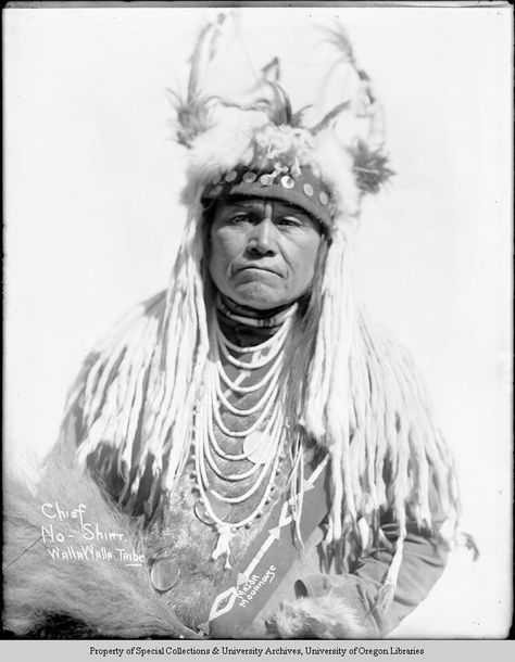 Chief No-Shirt Walla Walla Tribe   An outside photograph of a man identified as No Shirt dressed in his regalia. He is wearing a horned headdress with ermines, fur bandoleer, loop necklace, and a shirt. Writing on the photograph is "Chief No-Shirt Walla Walla Tribe Major Moorhouse" Sioux Indian, Native American Images, Native American Chief, Indian Pictures, Wilde Westen, Native American Pictures, Native American Photos, Indian Tribes, Indian Chief