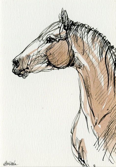 Original Ink Drawing, Canvas For Beginners, Drawing On Paper, Canvas Painting Ideas, A Horse, A Drawing, Ink Drawing, Painting Ideas, Canvas Painting