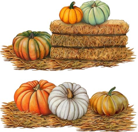 Watercolor Hay Bales, How To Paint Hay Bales, Hay Bale Pumpkin, Hay Bales And Pumpkins, Painted Hay Bales, Window Mural, Vintage Banner, Pumpkin Illustration, Sheep Art