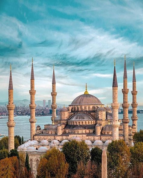 THINGS TO DO IN ISTANBUL TURKEY!! Is Istanbul a good place to visit? YES!! You will love it! Non touristy things do Istanbul. Some adventurous things to do in Istanbul. Things To Do, See And Eat In Istanbul, Turkey #Travel #Istanbul #wanderlust #turkey #bucketlist #destinations Things To Do In Istanbul, Blue Mosque Istanbul, The Blue Mosque, Istanbul Turkey Photography, Turkey Travel Guide, Visit Istanbul, Adventurous Things To Do, Arsitektur Masjid, Istanbul City