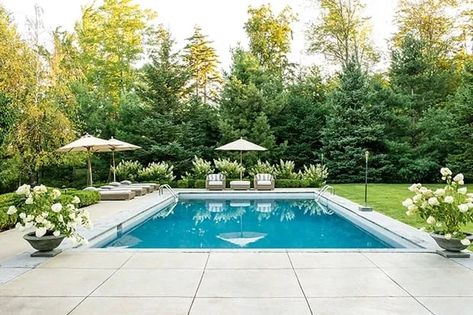 Concrete Pools, Backyard Pool Design, Diving Pool, Dream Backyard Pool, Forest Setting, Pools Backyard Inground, Large Pool, Pool Landscape Design, Small Pool Design