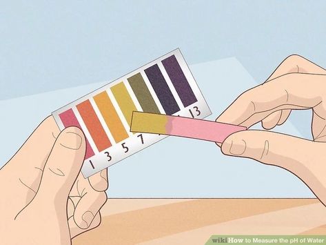 The pH level of water can provide information on potential contamination and can be an important precaution for protecting the health of people, animals, and vegetation. Ph Water, Ph Level, Ph Levels, Garden Plans, Water Can, How To Measure, Garden Planning, Plant Care, Life Hacks