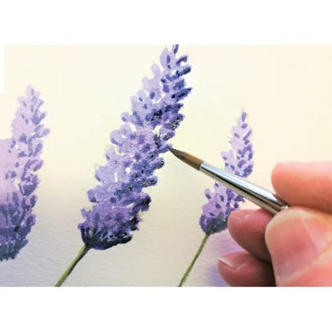 Watercolour Lavender Tutorial, Painting Lavender Flowers Acrylic, How To Paint Lavender Flowers Acrylic, How To Paint Lavender, How To Paint Lavender Flowers, Painting Lavender Flowers, Paint Lavender, Lavender Painting, Painting Lavender