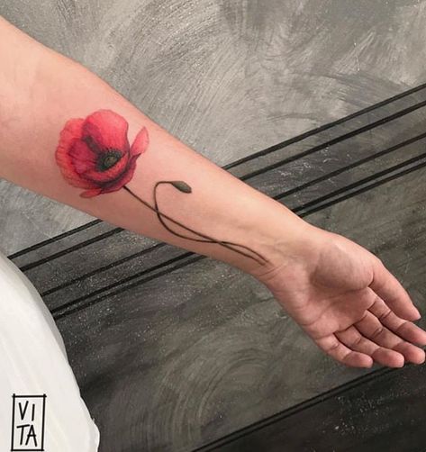 Red Anemone Flower Tattoo, Poppy Flower Tattoo Color, Anemone Flower Tattoo, Literary Tattoos Quotes, Anemone Tattoo, Floral Watercolor Tattoo, Cuddle Quotes, Poppy Flower Tattoo, Poppy Tattoo