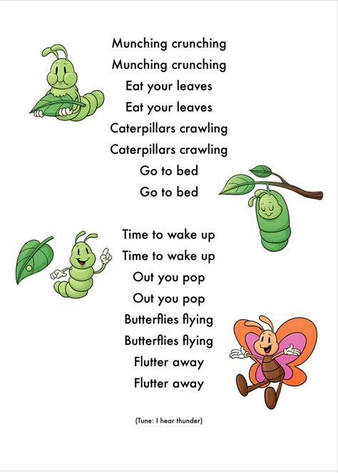 Caterpillar Observation Preschool, Caterpillar Preschool Theme, Songs About Insects For Preschool, Caterpillar Songs For Toddlers, Butterfly Songs For Toddlers, Butterfly Circle Time Activities, Caterpillar Lesson Plans Toddler, Butterfly Life Cycle Craft For Toddlers, Caterpillar Songs For Preschool