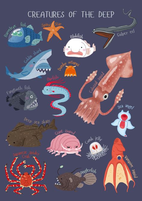 Creatures of the deep sea! A cool digital print for children to be introduced to some of the many creatures of the depths of the ocean.  Great learning opportunities for any chil interested in the ocean, also great classroom print. Cool illustrations for any cool kid!  Download and print out whatever size you prefer. Ocean Creatures Illustration, Interesting Sea Creatures, Sea Creature Illustration, Deep Ocean Creatures, Sea Creatures Illustration, Room Decor Nature, Deep Sea Animals, Cool Illustrations, Creatures Of The Deep