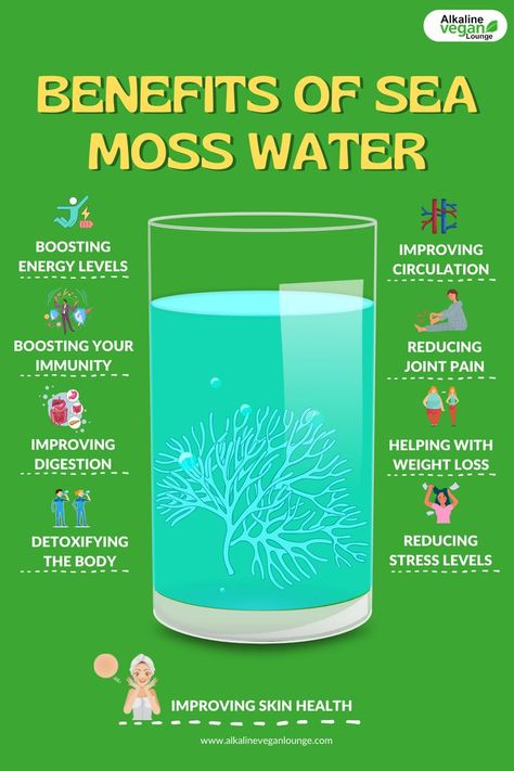 sea moss water benefits What Is Sea Moss, Benefits Of Sea Moss, Seamoss Benefits, Dr Sebi Alkaline Food, Slim Drink, Alkaline Vegan, Improve Energy Levels, Water Benefits, Cold Sores Remedies