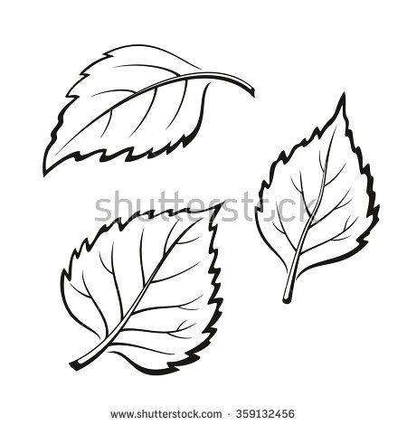 birch tree leaves Birch Leaves Drawing, Birch Leaf Tattoo, Leaves Clipart Black And White, Birch Tree Leaves, Leaves Clipart, White Birch Trees, Leaf Outline, Birch Leaf, Black And White Leaves