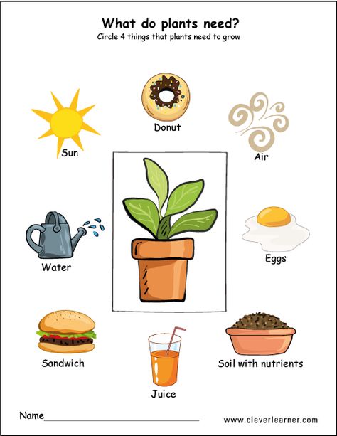 Needs of plants worksheets for preschool #preschool #worksheets #children #science What Do Plant Need To Grow Worksheet, What Do Plants Need To Grow Kindergarten, What Does A Plant Need To Grow Preschool, How Do Plants Grow Preschool, What A Plant Needs To Grow Preschool, What Do Plants Need To Grow Worksheets, What Plants Need To Grow Worksheet, What Plants Need To Grow Preschool, What Plants Need To Grow Kindergarten