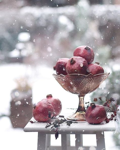 Welcome to Marjan`s Winterblog! I`m from the Netherlands and I love winter! You`ll find only winter... Raindrops And Roses, Copper And Grey, Farm House Colors, I Love Winter, Beautiful Fruits, Winter Beauty, Fruit Of The Spirit, Seasonal Garden, Christmas Porch