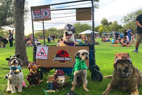 There’s only one thing cuter than pooches on parade, and that’s costumed pooches on parade. Whether Fido’s getup is adorable, comical, clever or creepy, give him the chance to show it off at one of these fabulous Halloween dog parades this October. Dog Parade Float Ideas, Parade Float Theme, Halloween Parade Float, Cute Dog Halloween Costumes, Parade Float Decorations, Dog Parade, Pet Parade, Animal Parade, 2023 Halloween