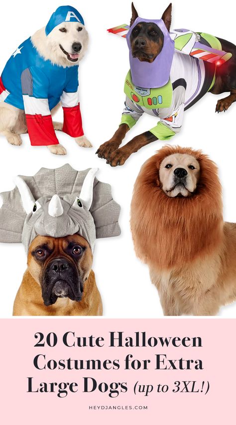 20+ Cute Halloween Costumes for Extra Large Dogs (up to 3XL!) - Hey, Djangles. Xxl Dog Costumes, Large Dog Costume Ideas, Diy Large Dog Costumes, Big Dog Costumes Halloween, Costumes For Big Dogs, Dog Costume Pattern, Super Cute Halloween Costumes, Large Dog Halloween Costumes, Big Dog Halloween Costumes